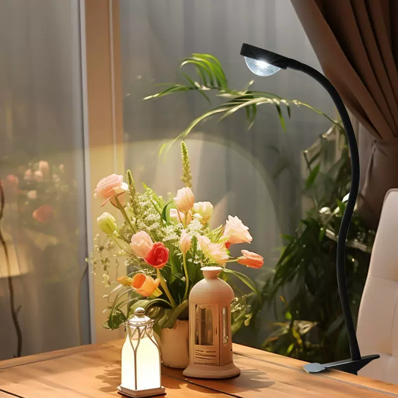 Fill light, floor plant lamp solar-powered, comfortable light spectrum