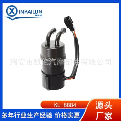 VS800 Intruder: Oil pump, nozzle