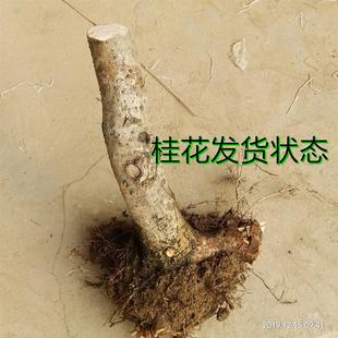 ��ǻ������Թ��辰�زİ��¹��Ϙ����ͽ�������ͥԺֲ���̨