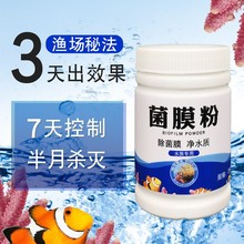 淡海水缸菌膜粉甲藻菌膜去除粉降氨氮渔场秘方防红泥净水质