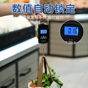 Weighing Household Precision Digital Scale Satchel Scale High-Precision Satchel Digital Scale Hook Spring Scale Small