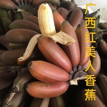 ����V���tƤ�㽶�t�����˽�ˮ�����l�Q�״�5��9��tƤ�㽶
