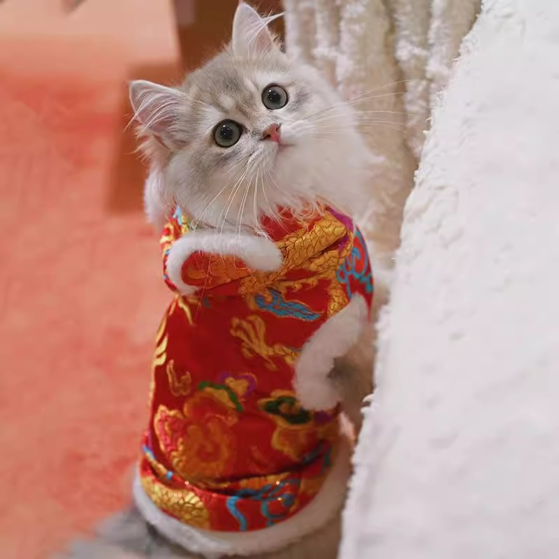 Ropa de Año Nuevo para gatos en invierno engrosado vestido de China mascota gatito gato muñecas de otoño y invierno gato azul camisa de Año Nuevo