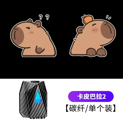 Light, Induction Door Opening Projection, Other lights - capybara-2-always-on-model-1-light-1-box