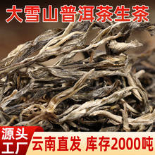 早春茶不苦不涩普洱生茶普洱茶散茶500g大叶种晒青毛茶大雪山