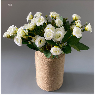 ����õ��С��������c�Ҿ��b��߽������컨