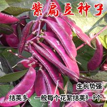 ߅üNӲ趹÷߅tⶹN߮a＾ͥԺ̨