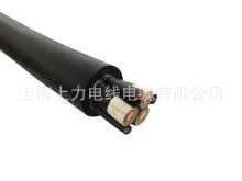 MYú�V���Ƅ�����ܛ��|   MYܛ��|  MY�V�����zܛ��|