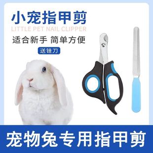 Special Nail Clippers for Little Rabbits, Nail Clippers for Dwarf Rabbits, Anti-Scratch and Digging, Essential for Adult and Young Rabbits, Lop-Eared Rabbits, Pet Care