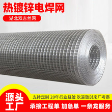 镀锌电焊网铁丝网建筑工地抹墙抹灰批荡内外墙保温挂网圈地养殖网