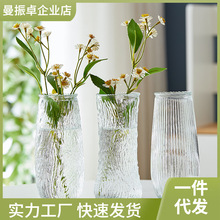 浮雕玻璃花瓶大号透明水养富贵竹ins高颜值客厅装饰家用插花摆蔄