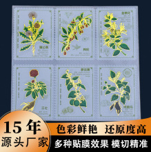 ���ֵ�Ą�uv�C��͸���N������ diy���⿨ͨ�ز��b���ճ�]Ʊ�N��