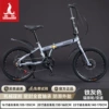 Variable speed-iron gray [spoked wheel]