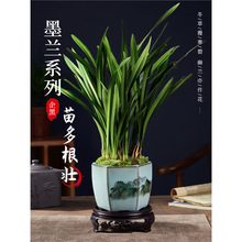 �����m������ī�m��ڈ�q�m���~�m�������İ�ī�͏d�̨�Gֲ����