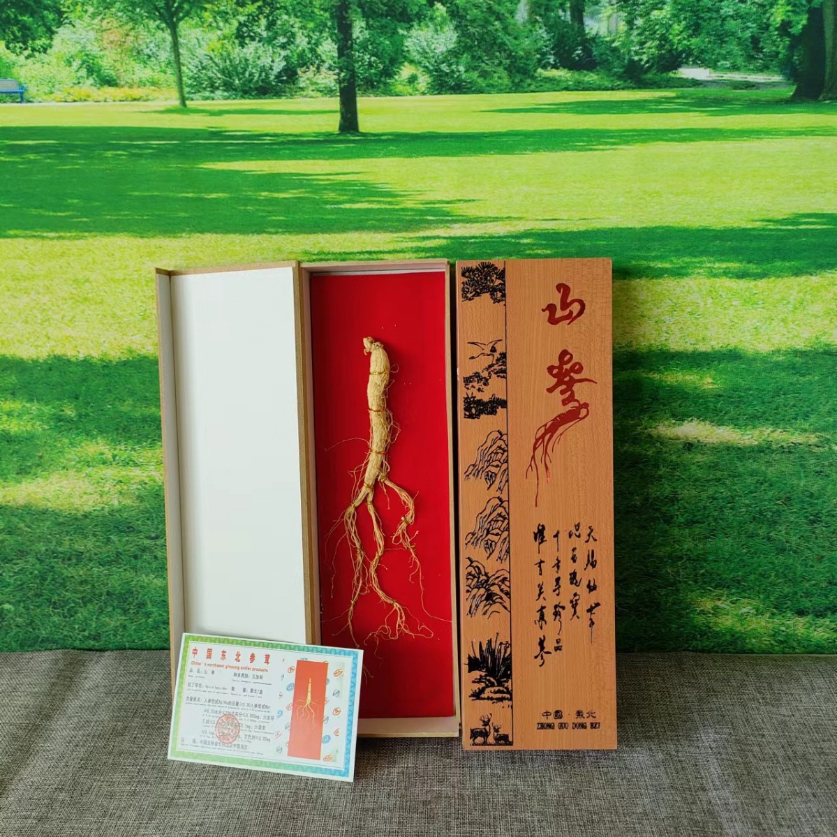 长白山特产 人参礼盒跑江湖会销送礼煲汤泡酒山参礼盒厂家批发