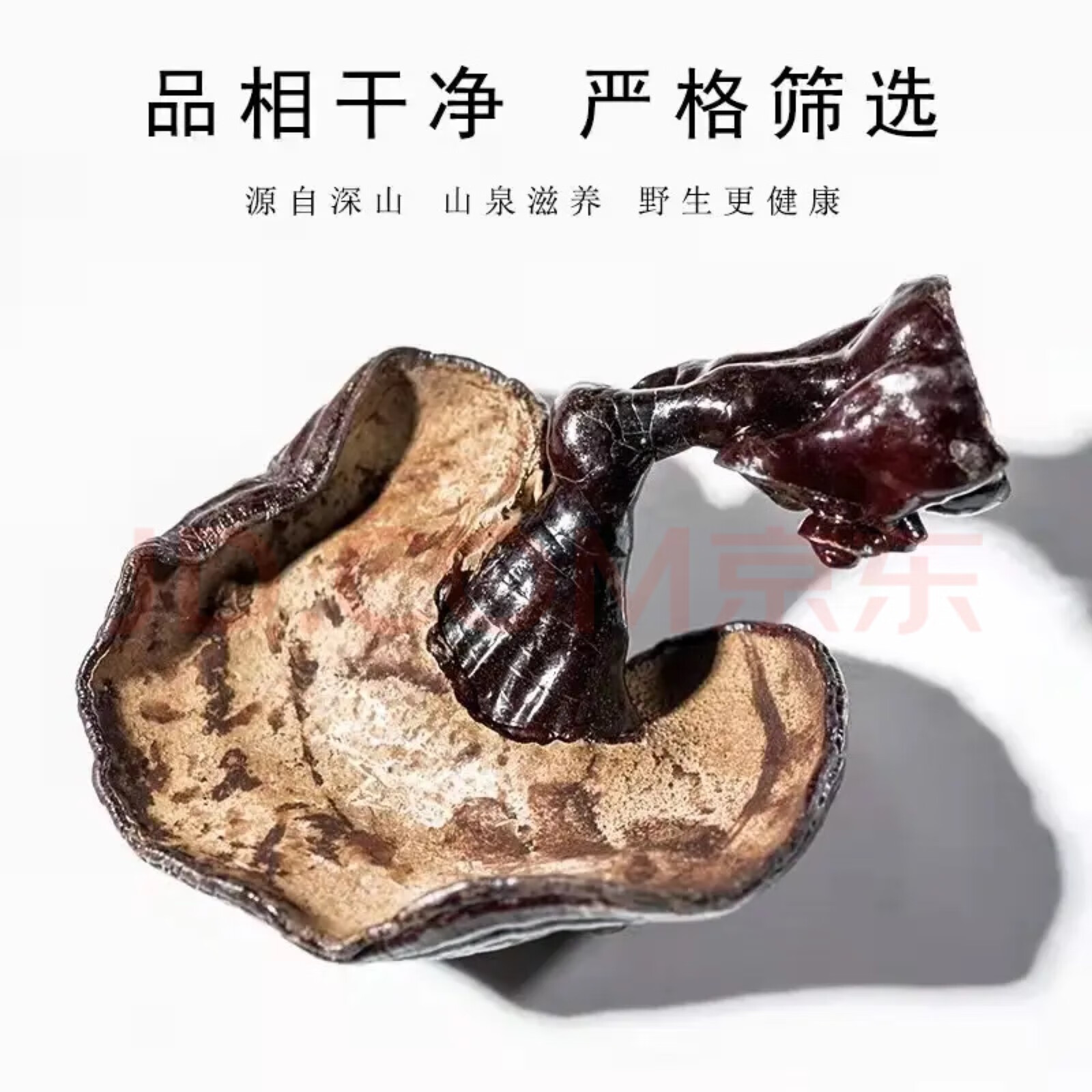Lingzhi Reishi Mushroom 500g Whole Dried Ganoderma Slices for Tea and Soup quality and texture