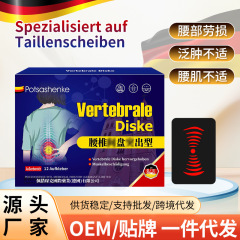 德国佩措琛克腰椎间贴剂舒缓腰椎麻木酸痛泛肿泛红不适贴剂12贴