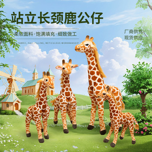 �¿�����L�i¹ë�q��߁��R�d��ͯ��˯��ż�L�i¹������ܛ��ë�q