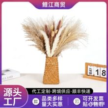 �羳���R�d���N�JȔ���ɻ��҃ȼҾ���β�ݷ��m�ɻ�����������