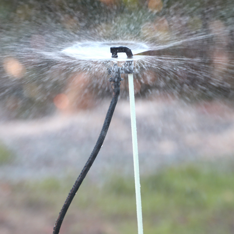 Jardín de la lluvia