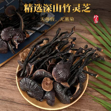 云南野生竹灵芝干货野山灵芝煲汤泡酒竹灵芝包邮