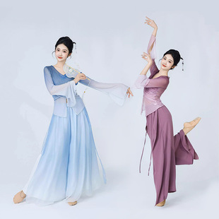 Classical Dance Gauze Dress Slim Fit Art Exam Practice Outfit Elegant Gradient Large Hem Chinese Dance Performance Costume