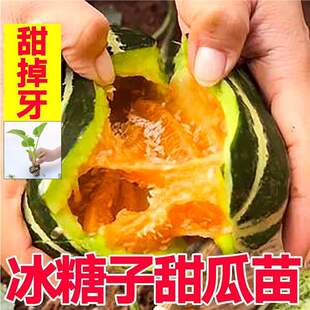 �۹������������������펧��������۲���žG��ʯ��ϷN�Ӹ߮a