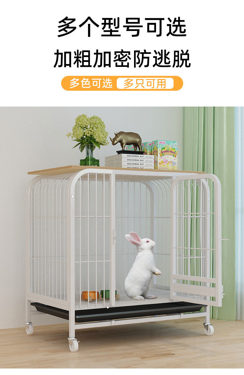 b3805b76-5884-4227-a8f5-aa79f26d6a25.jpe