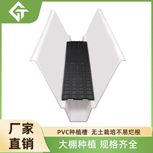 ���Ҵ����ݮ���w�Nֲ�� pvc��ݮ�Nֲ�� �V�|��ɽ���ƺ��׷Nֲ��