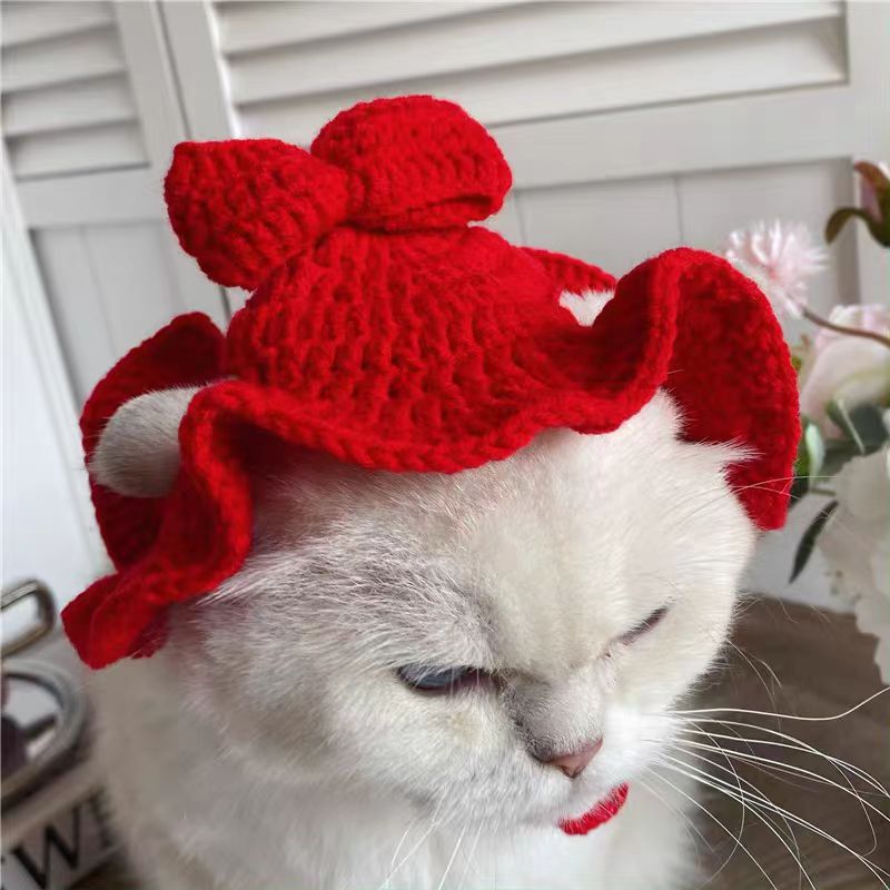 Cute Pet Hat 10