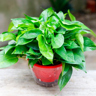 ���m�G�}������ĵ���������˜I�҃��̨���Ի��ܶ༾�����N���m