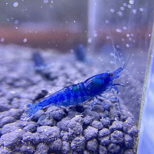 ���F�{��ʯ�r!���w��ˮ�^�p��Ч������]���ͻ��m��ˮ��ۺ���