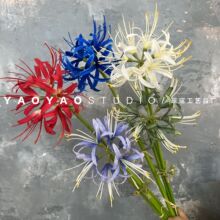 ����˰��� ���L�h�����յ����L���m����ɳ�A�ٻ���c�b� �羳