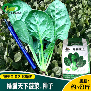 ��܇�^�G�����²��˷N�� �s�����L�ٶȿ��~Ƭƽ���й�ɲ�����