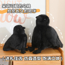 万圣节乌鸦公仔小黑乌鸦大鸟毛绒玩具布娃娃家居拍照摆件儿童礼物