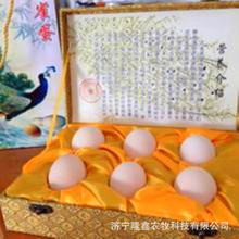 新鮮孔雀蛋哪里有賣的 孔雀脫溫苗商品孔雀多少錢一只 孔雀養殖場
