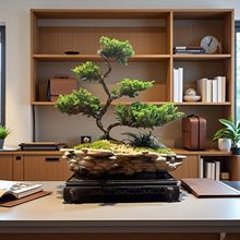 ӭ҃ȿ͏d[ʽߙn辰kҺBGֲ