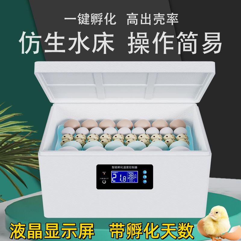 小型智能恒温水床孵化器家用鹦鹉鸭鹅小鸡孵化箱全自动控温孵蛋机