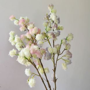 ���W���_���麣�����ѹ�Ӣ�Ҿӿ͏d����Ʒ�|�廨��ę����쾰�ٻ�
