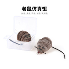 �����w��h�wω�h�¿���~�|�~���������̷������D·���D