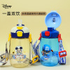 Disney, children's plastic straw suitable for men and women, teapot for kindergarten for elementary school students