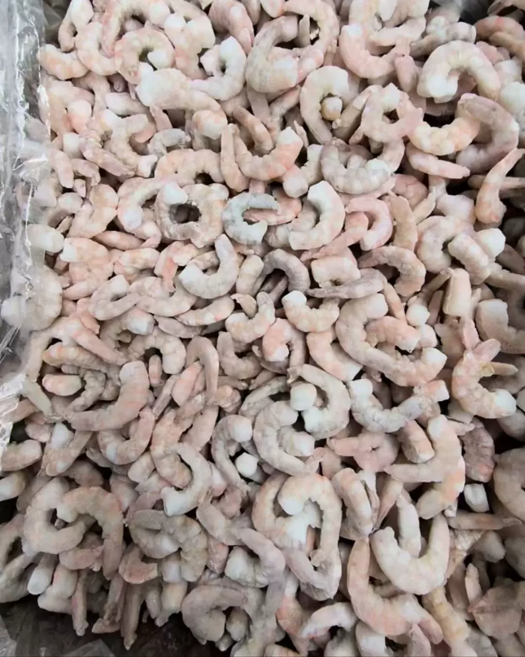 B级虾仁虾肉虾球次品虾仁次级虾仁