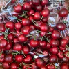 Shimeline 3J big cherry 10 pairs