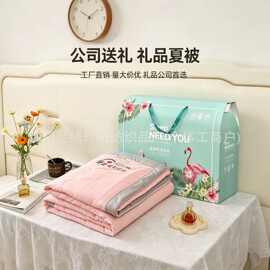礼品夏凉被礼品被子水洗棉夏被原棉夏被薄被子空调宿舍单人被芯
