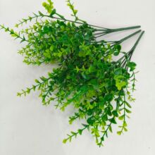 ����С�ȼ����Gɫ��������ֲ��Gֲ�����b�35Ŀ���X�ݷ���ֲ��