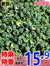 新货青麻椒500克250g干花椒粒藤椒食用香新鲜产地四川汉源重庆