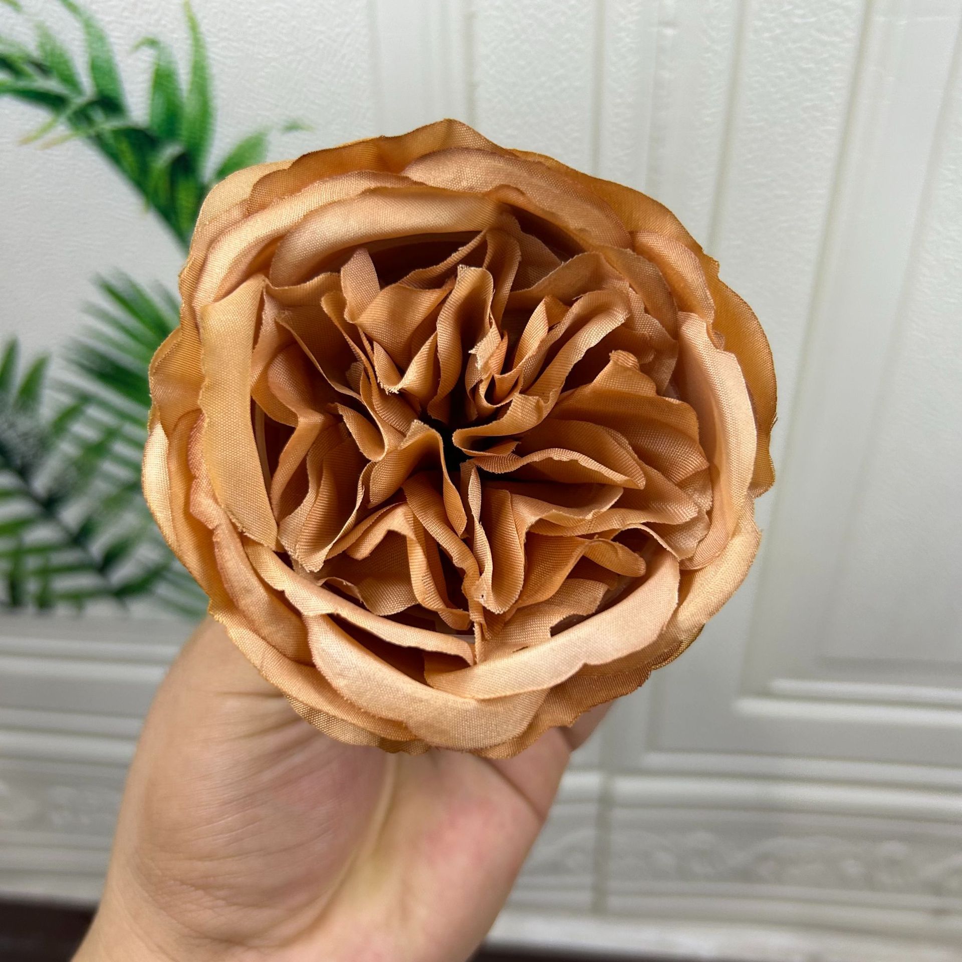 커피색