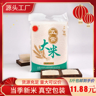 �����峣����5������ז|�������L�����׸������������׶YƷ���l