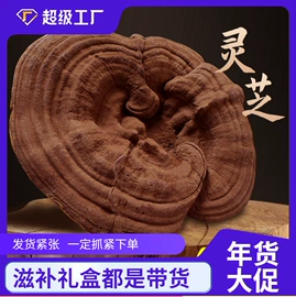 参类滋补品;其他滋补;灵芝