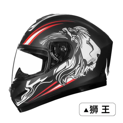 Motosiklet kaskı (dəbilqə) – Electric Safety Helmets, Gray, 3C Certified - lion-with-clear-lenses-m